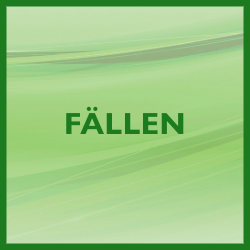 FAELLEN