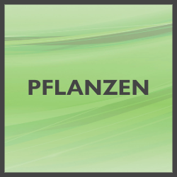 PFLANZEN